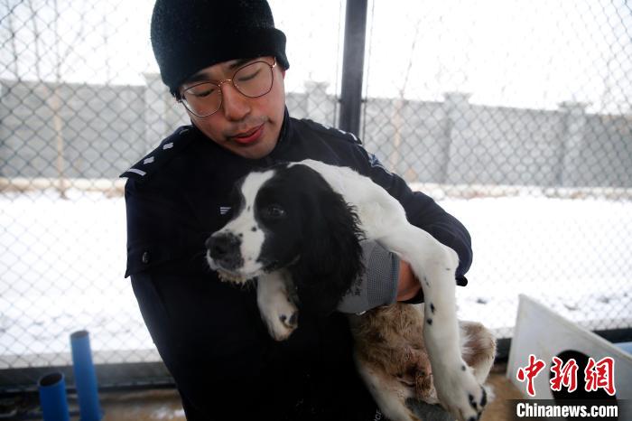 繁育员宫晓东抚慰结束室外训练的小警犬。　姜辉 摄