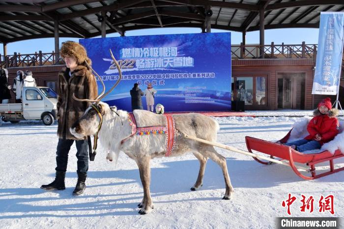 图为游客亲身体验驯鹿拉雪橇。　刘丽平 摄