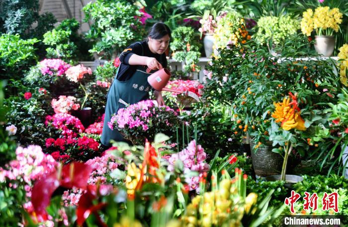 市民在花卉市场挑选鲜花。　马楠 摄