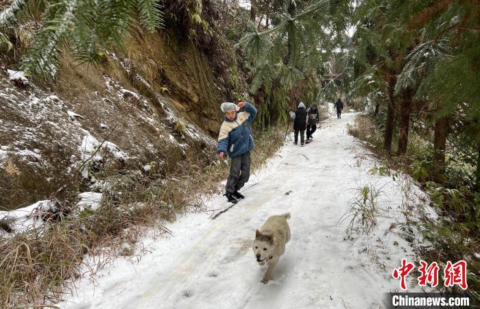 图为广西北部山区降雪。　梁强 摄