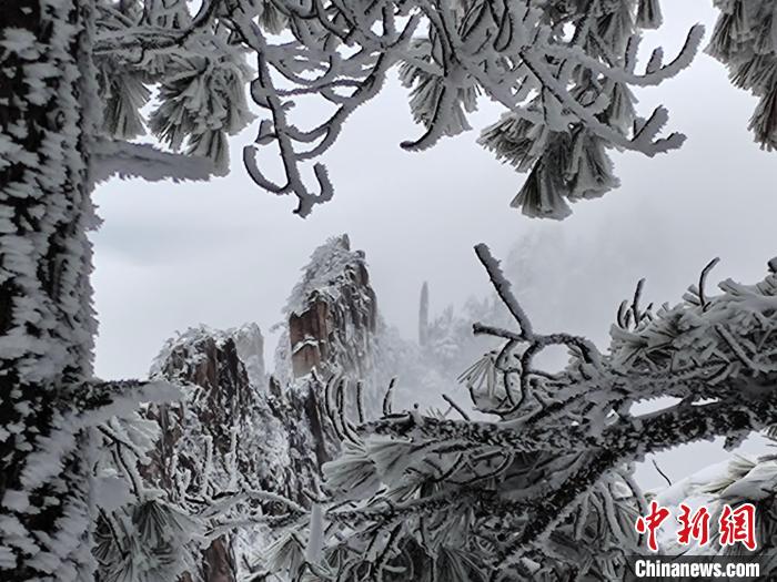 冬雪黄山宛如冰雕玉砌 许永杰 摄