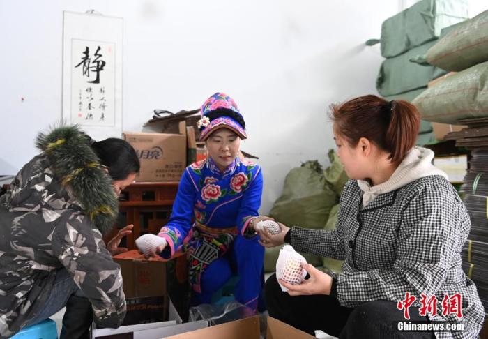 图为1月28日，位于理县的“羌妹子易川电商旅游服务中心”内，易川与员工打包发往外地的苹果。 中新社记者 安源 摄