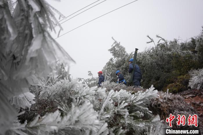 广西电网公司工作人员顶着冰雪，对覆冰线路进行观测巡视。　陈伯鑫 摄