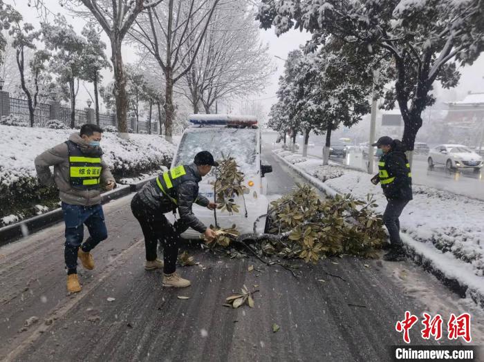 城管队员清理路面积雪、大雪压断的树枝 宋宏雷 摄