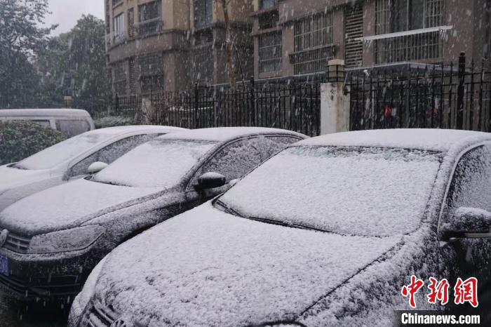 路边的汽车上已覆上一层雪。　孙权 摄