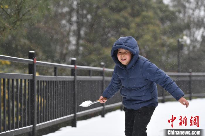 图为昆明雪景。　刘冉阳 摄