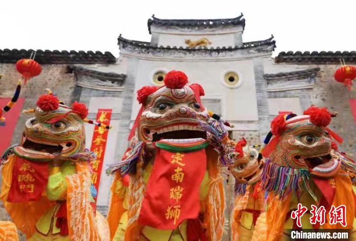 在江西省赣州市定南县“虎形围”前，瑞狮合着节拍，一招一式，神气威猛，栩栩如生。　詹继成 摄