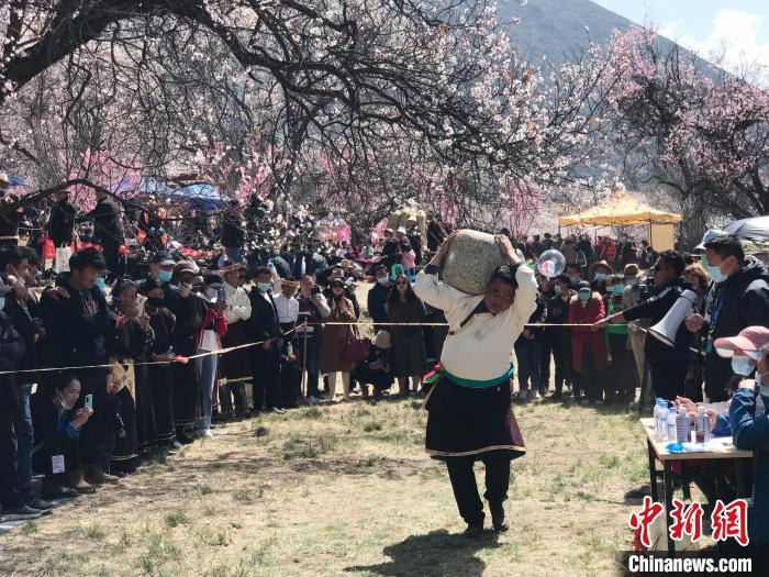 资料图为林芝桃花旅游文化节期间举行的“抱石头”传统体育比赛。　冉文娟 摄