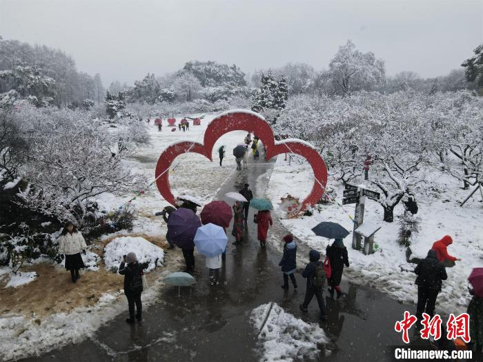 武汉市民雪中赏景 邹浩 摄