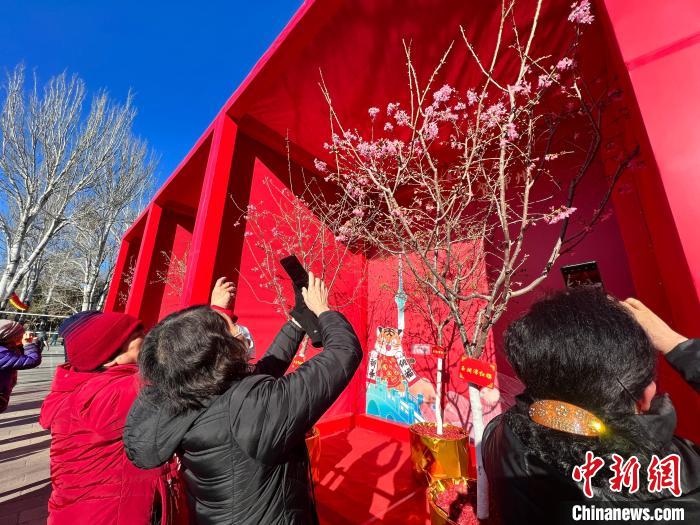 图为今年春节的北京市属公园。　北京市公园管理中心供图