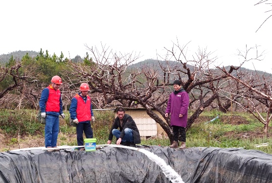 江西龙南：电力助鹰嘴桃成“致富桃”