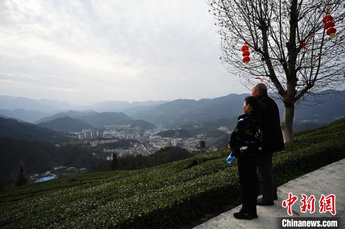 黄昌菊与丈夫到渔洋关镇邹家山茶旅公园游玩 刘康 摄