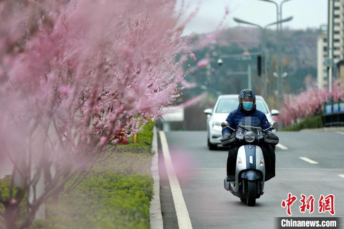 3月17日，山东济南，市民在寒风中出行。当日，济南迎降温天气。　梁犇 摄