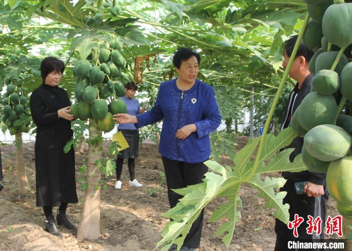 王银香在林间教授民众农业知识。　受访者供图