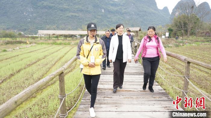 3月10日，广西台办主任侯线红(前中)在阳朔县台资企业山水遇农园考察调研。?　欧惠兰？　摄