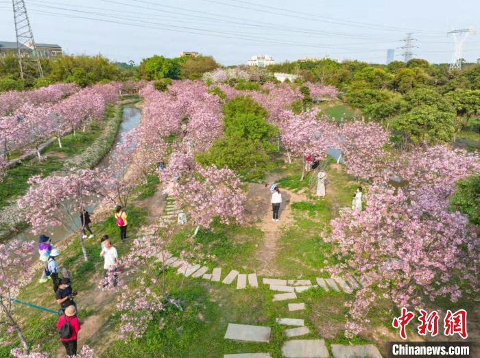 广州海珠湿地 广东省林业局 供图