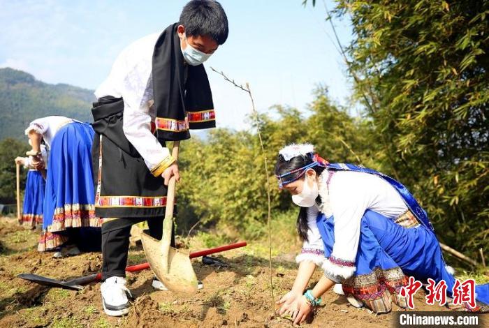 四川阿坝学子在浙江瑞安植树。　王志 摄