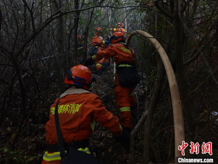 图为火灾救援现场。　云南省森林消防总队提供