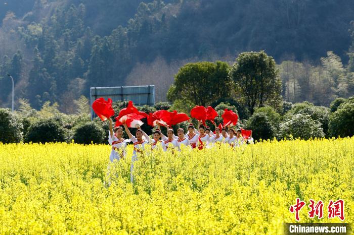 村民在油菜花田翩翩起舞。　潘祯祥 摄