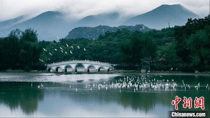 肇庆星湖湿地 梁剑峰 摄