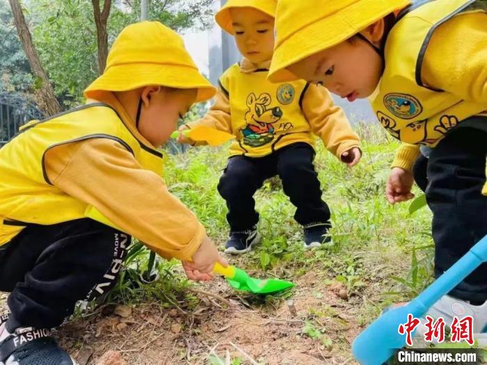 婴幼儿在园区内活动。　宁德市哈迪宝贝婴幼园 供图