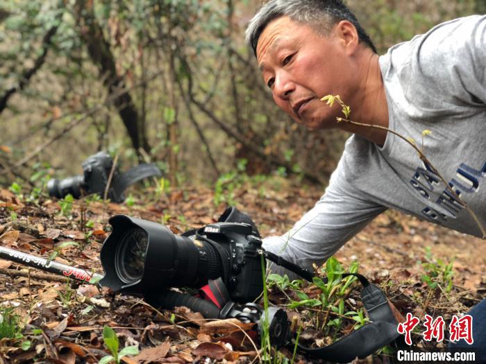 章叔岩。　章叔岩供图