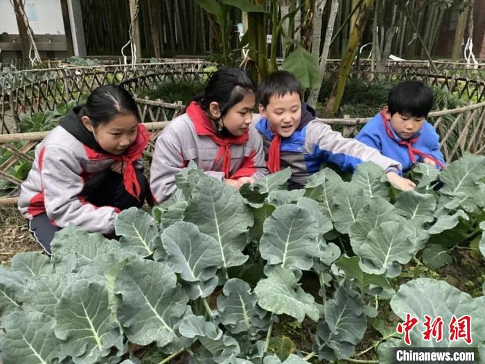 学生们亲身体验农垦生活 学习传承农垦精神。　上海市教委供图