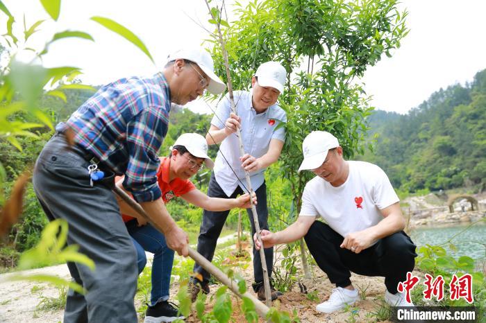 图为众人合力植树。　李思源 摄