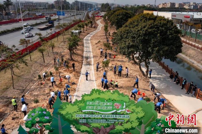 广州市白云区2022年植树月系列活动现场 广州市林业和园林局 供图