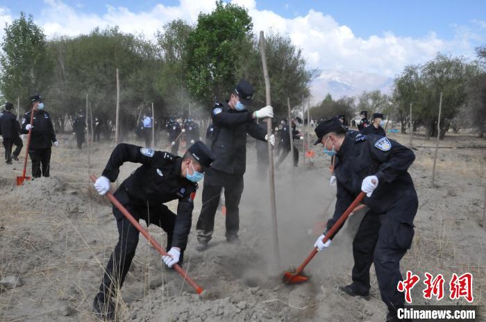 图为西藏边检总站轮训大队民警植树活动现场 。　西藏边检总站轮训大队供图