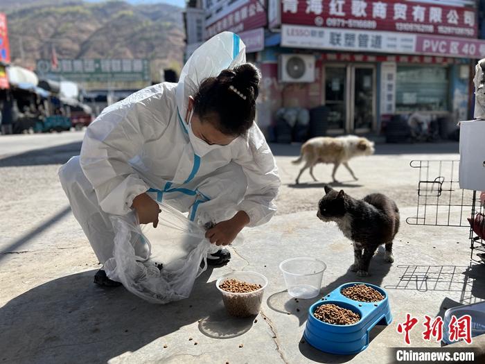 4月20日，志愿者为市场内的流浪动物喂食。 中新社记者 李江宁 摄