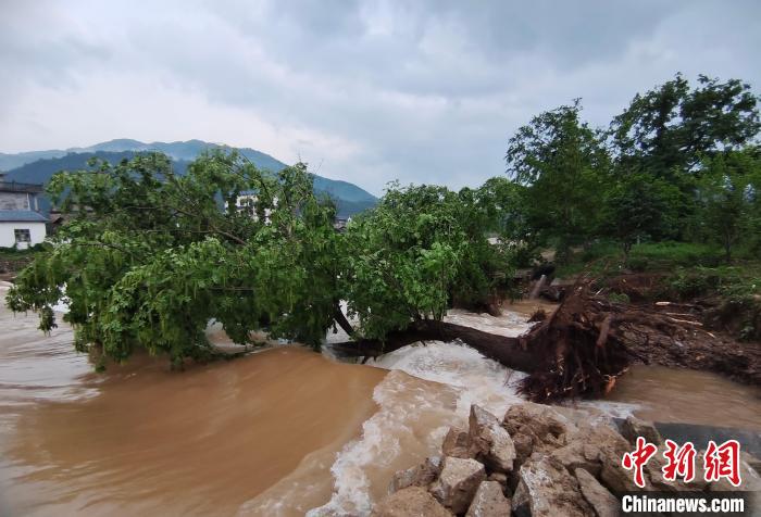 图为桂林恭城观音乡遭受强降雨袭击，河流水位上涨。　蒋治宇 摄