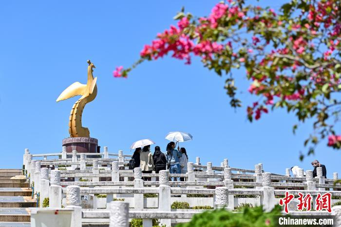 市民清明寄托哀思 陈骥旻 摄