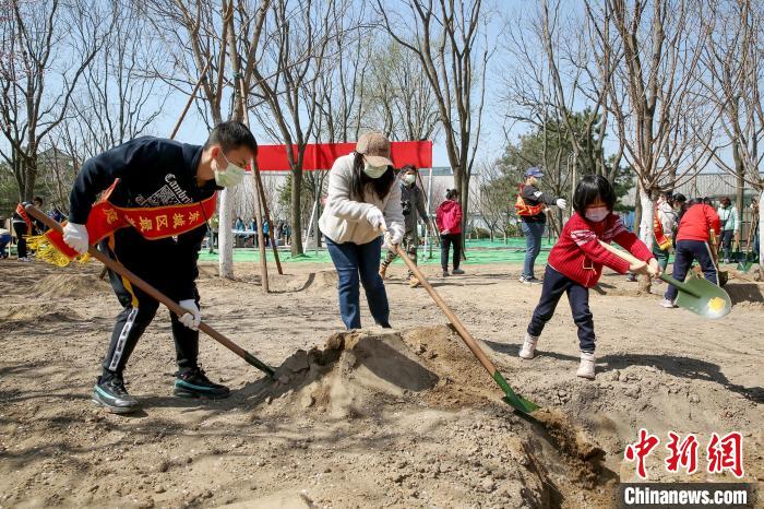 4月3日，北京迎来第38个首都义务植树日。图为市民在植树尽责。　北京市园林绿化局供图