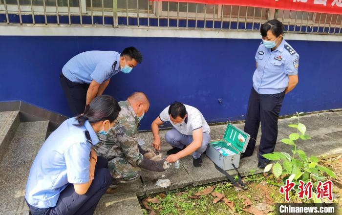 图为民警对蜂猴进行检查。　常宗波 摄