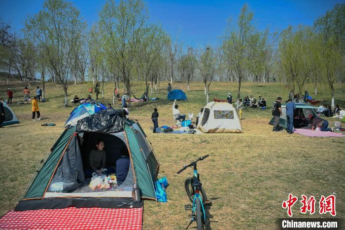 图为清明小长假首日，市民在天津北辰郊野公园搭帐篷体验城市露营度假。　佟郁 摄