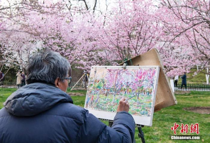 北京玉渊潭公园春和景明，吸引游人流连花海。　 中新社记者 侯宇 摄