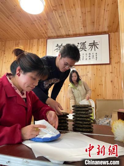 资料图：杜赢(左二)在整理白茶饼。　林春茵 摄