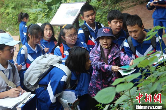 广东学生参加生物多样性科普课程(资料图) 广东省林业局 供图