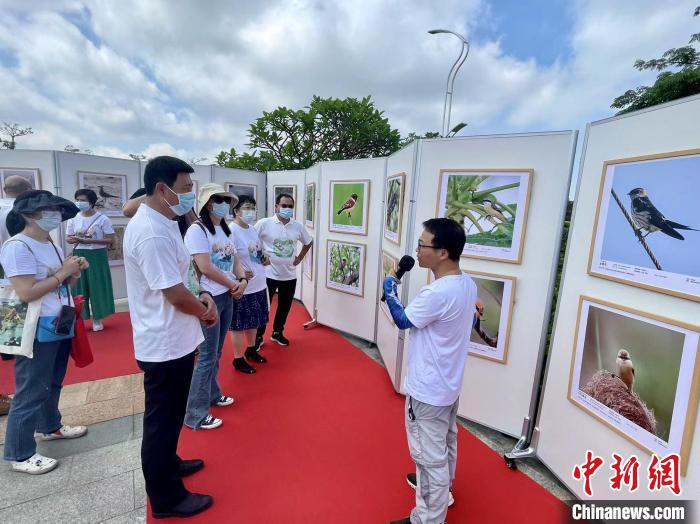 图为横琴陆生野生脊椎动物资源本底调查成果展现场。　刘心宇 摄