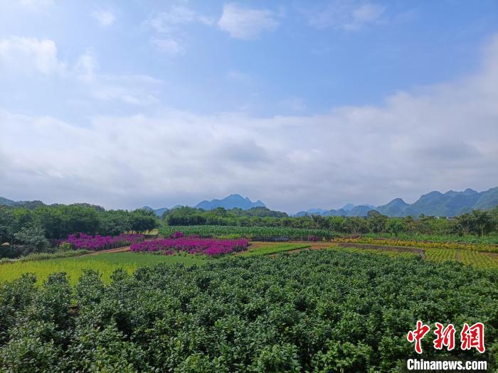 万峰林乡愁集市一隅。　石小杰 摄