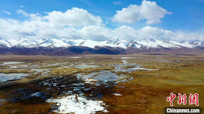 洁白的雪山、黄绿交织的草地相互映衬，构成一幅令人沉醉的天山画卷。　高那清 摄