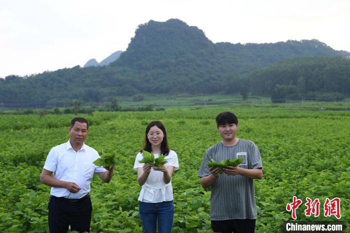 李世明、李雪艳、李炜星(从左至右)。　陈楚红 摄