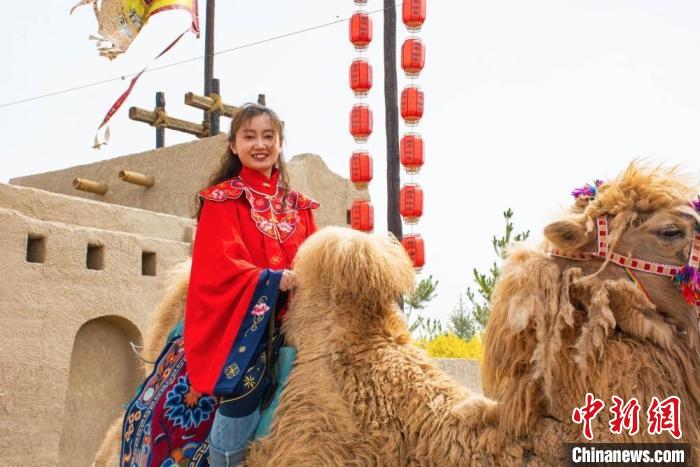 图为甘肃甘州甘浚镇干部着古装、骑骆驼，推介速展村三社旅游，吸引游客。　甘州区融媒体中心供图