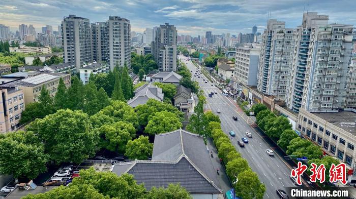 杭州城市街头。　钱晨菲 摄