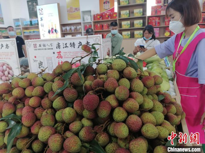 廉江妃子笑荔枝 梁天宇 摄