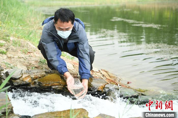 图为廊坊市安次区龙河人工湿地工作人员正在取样。　刘建斌 摄