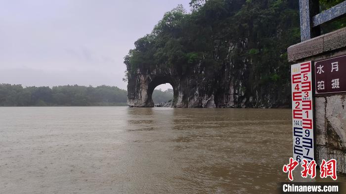 5月10日，受强降雨影响，漓江水位上涨。　杨宗盛 　摄