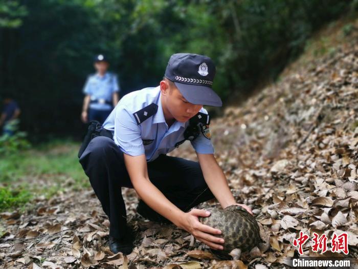 当地森林警察大队民警放生野生动物。　刘畅 摄