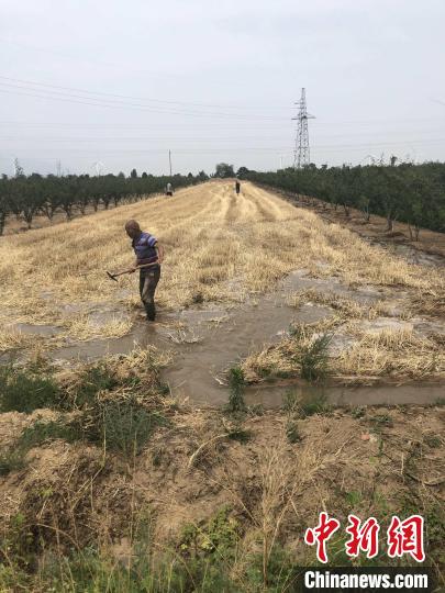 图为港口抽黄灌区的村民在夏灌。　陕西省水利信息宣传教育中心提供